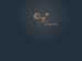 puppy22303B_7-8-11