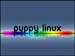 puppycolorful1600x1200